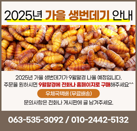 250722_silkworm.jpg