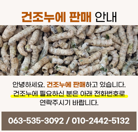 260810_silkworm.jpg